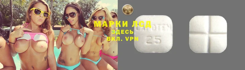 где купить   Пудож  LSD-25 экстази ecstasy 